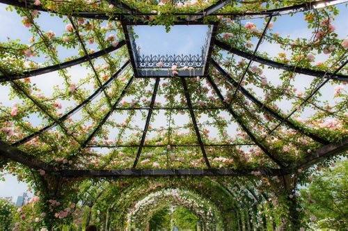  별이 되고 싶다 | 인스티즈