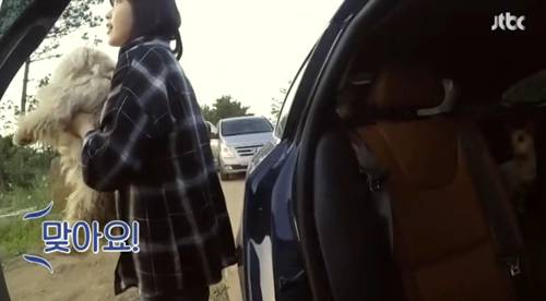 [효리네민박] 길에서 만난 강아지. jpgif | 인스티즈