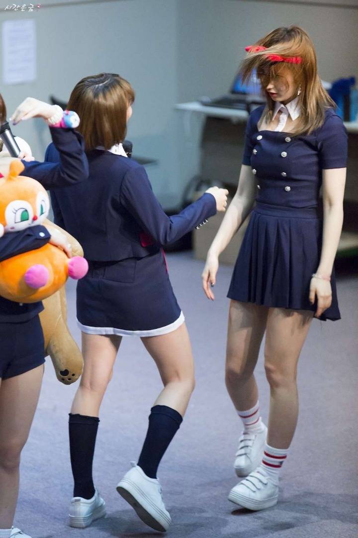 아기 호랑이한테 잡아먹히는 사나.jpg | 인스티즈