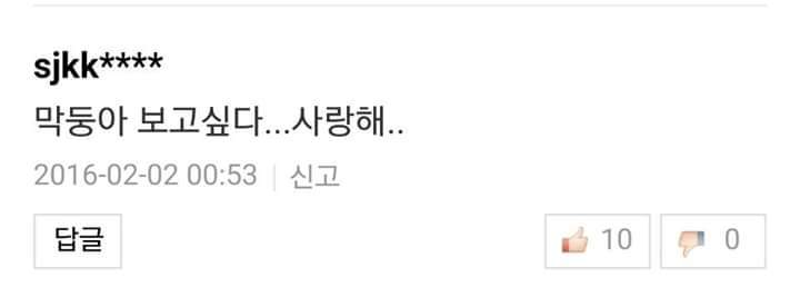 반려견들과 이별을 겪어본 사람들의 이야기 | 인스티즈