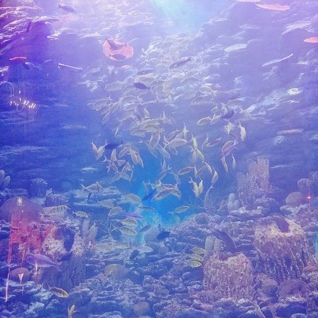 #우리의_여름은 | 인스티즈