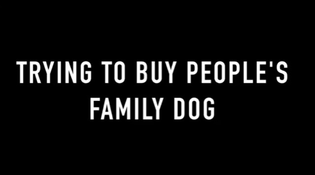 어떤 부자가 당신의 반려견을 1억에 팔라고 한다면? (실험카메라) | 인스티즈