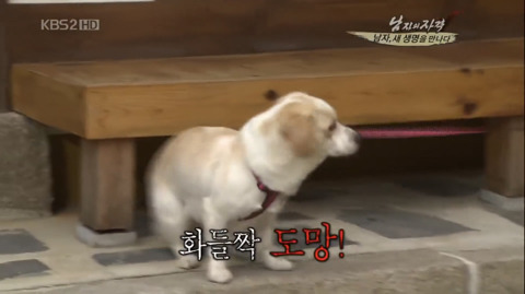 김국진과 반려견 덕구 | 인스티즈