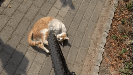 자해공갈 조심하세요 | 인스티즈