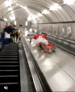 한 순간의 객기로 고자+치질 확정 | 인스티즈