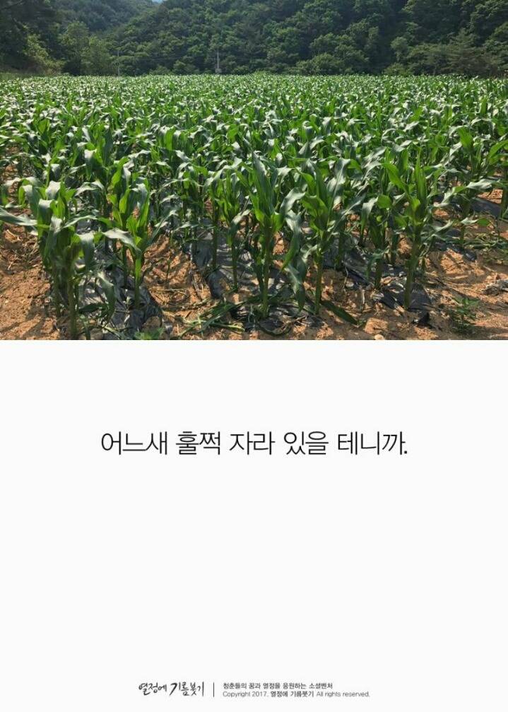 한국에서 가장 촌스러운 1인 방송 | 인스티즈