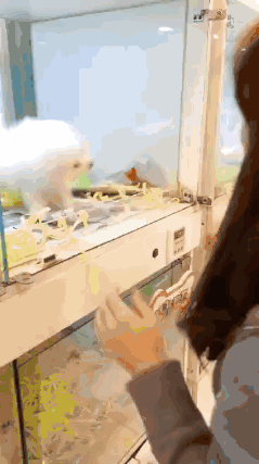 가만히 있는 여자에게 달려드는...gif | 인스티즈