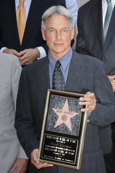 bgm] 외국연예인들의 혈통 (feat,서양이 단일혈통 의미가 약한 이유) | 인스티즈