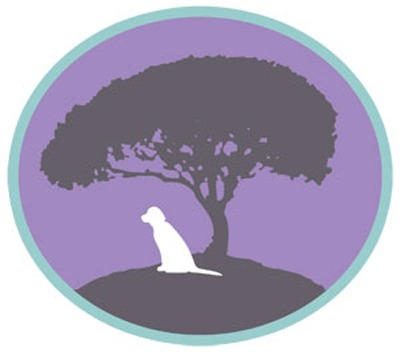 반려동물키우시는 사람은 각호해야할 "펫로스 증후군" | 인스티즈