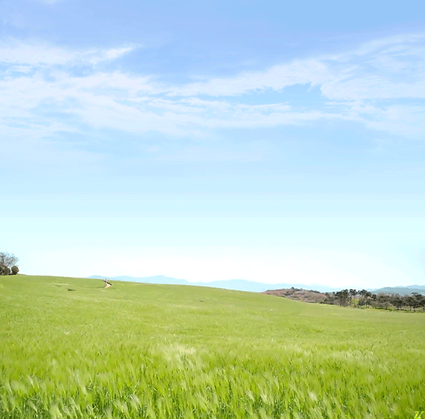 [7일의왕비] 한 폭의 수채화같던 청량하고 풋풋한 어린 채경과 진성대군 .jpgif (데이터주의) | 인스티즈