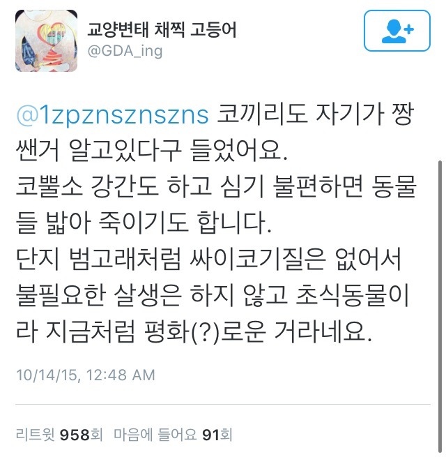 극지방 동물들은 대부분 성격이 맞거나 난폭합니다 (feat. 범고래).twitter | 인스티즈