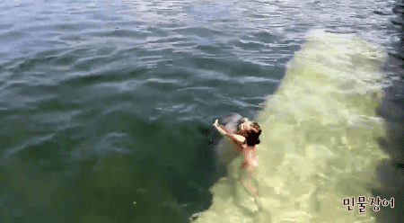 최고의 수영강사.gif | 인스티즈