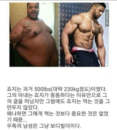 다이어트가 소용없는 이유 | 인스티즈