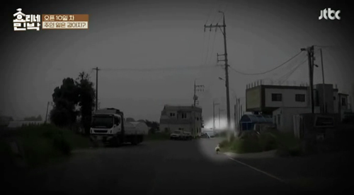 [효리네민박] 길에서 만난 강아지. jpgif | 인스티즈