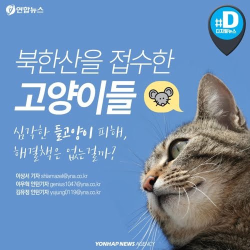 북한산을 접수한 고양이들...jpg | 인스티즈