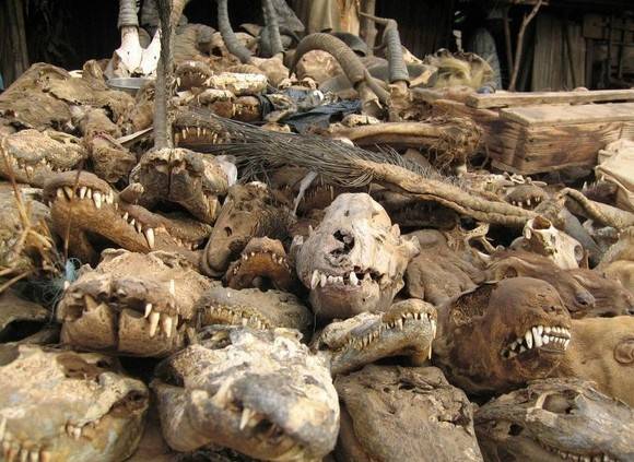 CNN이 선정한 세계 7대 소름돋는 장소 (혐오주의) | 인스티즈