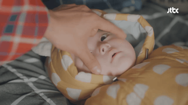 방영되자마자 매니아층을 만들고 있는 jtbc드라마 | 인스티즈