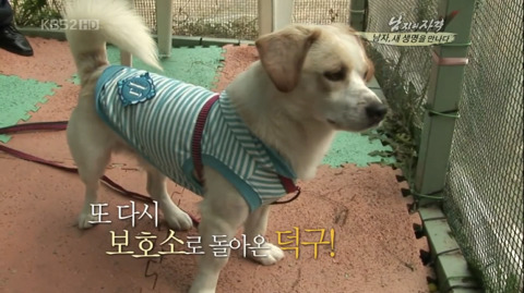 김국진과 반려견 덕구 | 인스티즈