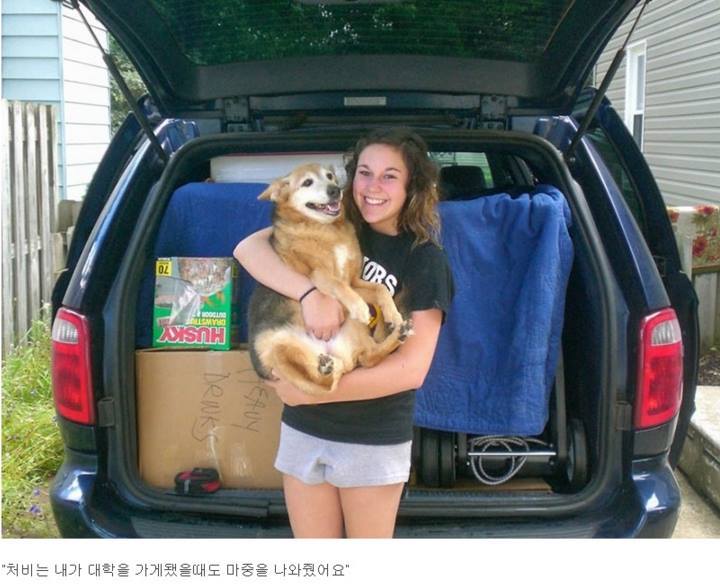 반려견과의 만남과 이별 과정.jpg | 인스티즈