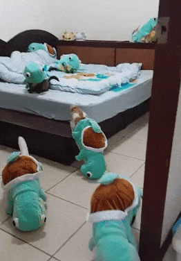 나는 꼬북이다옹~ | 인스티즈