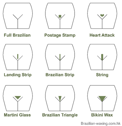 올여름이 오기전에 미리 블라질리언 왁싱을 알아봅시다.jpg | 인스티즈