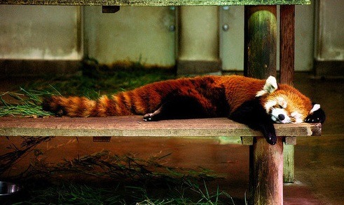 흉포함의 대명사 (잔인주의) | 인스티즈