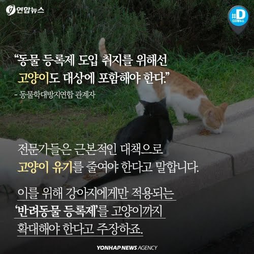 북한산을 접수한 고양이들...jpg | 인스티즈