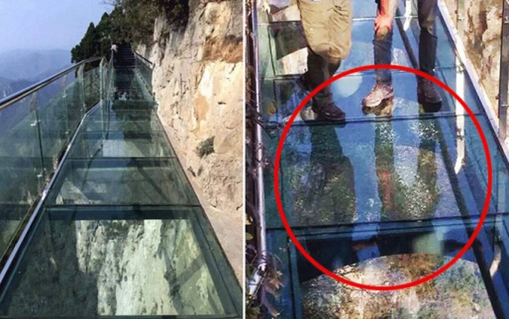 대륙의 등산로 | 인스티즈