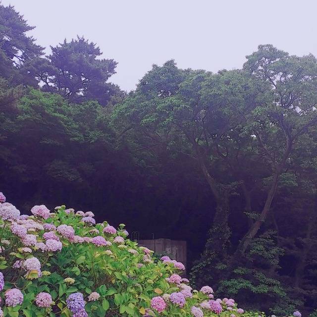 #우리의_여름은 | 인스티즈