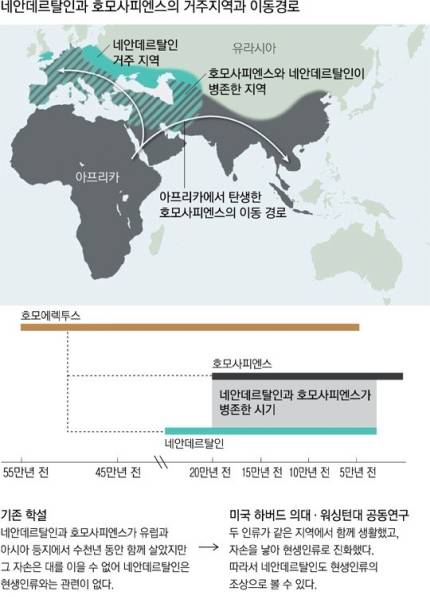 한국인의 성기가 작고 코가 낮으며 가슴과 엉덩이가 납작한 학술적 이유.jpg | 인스티즈
