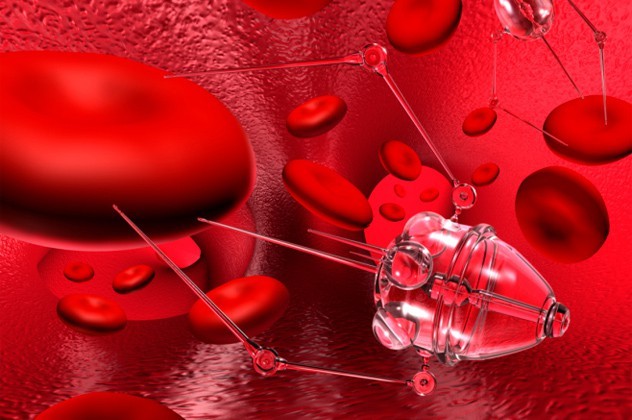  인류의 자리를 대체할수도 있는 존재들 TOP 10 | 인스티즈