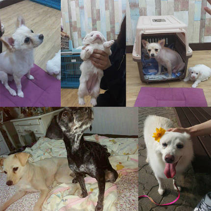 장나라가 또..... | 인스티즈