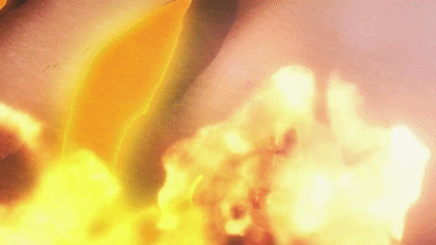 [쿄애니] 작화팀의 생존 여부가 궁금해지는 쿄애니 신작 작화 퀄리티.gif | 인스티즈