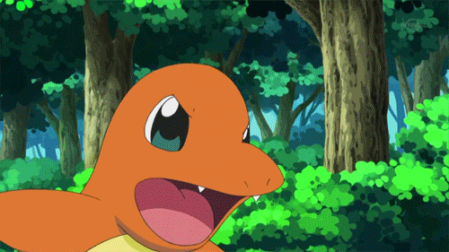 데이터 주의) 카톡에서 쓸만한 파이리짤 대방출 | 인스티즈