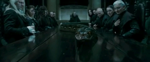 볼드모트의 호크룩스 | 인스티즈