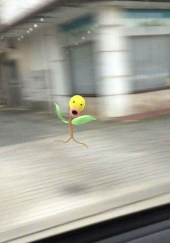 윤영찬 수석 모다피(가취가욥) 된 사연 | 인스티즈