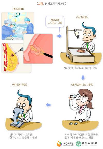 세계 최고의 검사 BEST 18 | 인스티즈