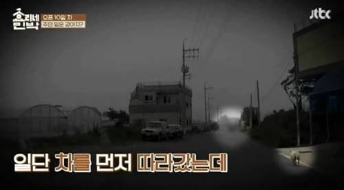 [효리네민박] 길에서 만난 강아지. jpgif | 인스티즈