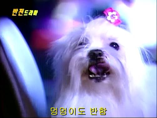 반전드라마 베스트 에피소드 내인생의 지우개 2 | 인스티즈