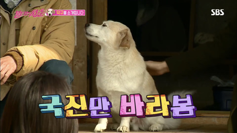 김국진과 반려견 덕구 | 인스티즈