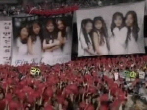 이효리가 급작스러운 결혼 발표로 팬카페에 남긴 글 | 인스티즈