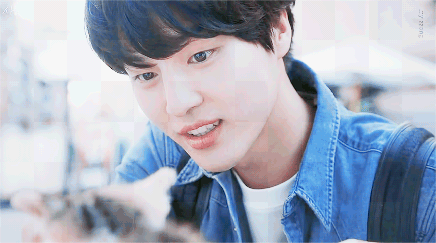 연예인에게 문학을 대입해보았다 | 인스티즈