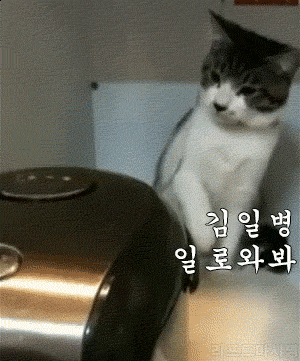 후임 갈구는 선임의 정석.gif | 인스티즈