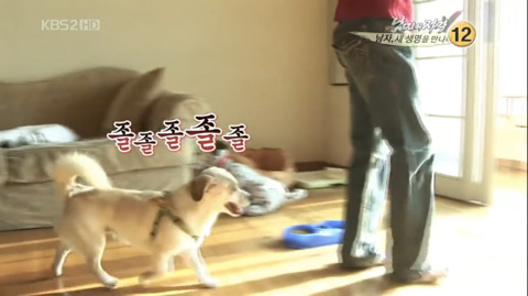 김국진과 반려견 덕구 | 인스티즈