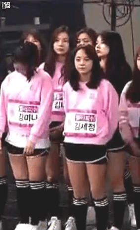 [프로듀스101] 파벌듀스101 심층분석2 - 젤리피쉬-펭귄연합 (유머글) | 인스티즈