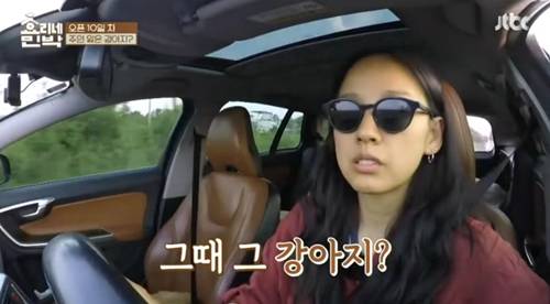 [효리네민박] 길에서 만난 강아지. jpgif | 인스티즈