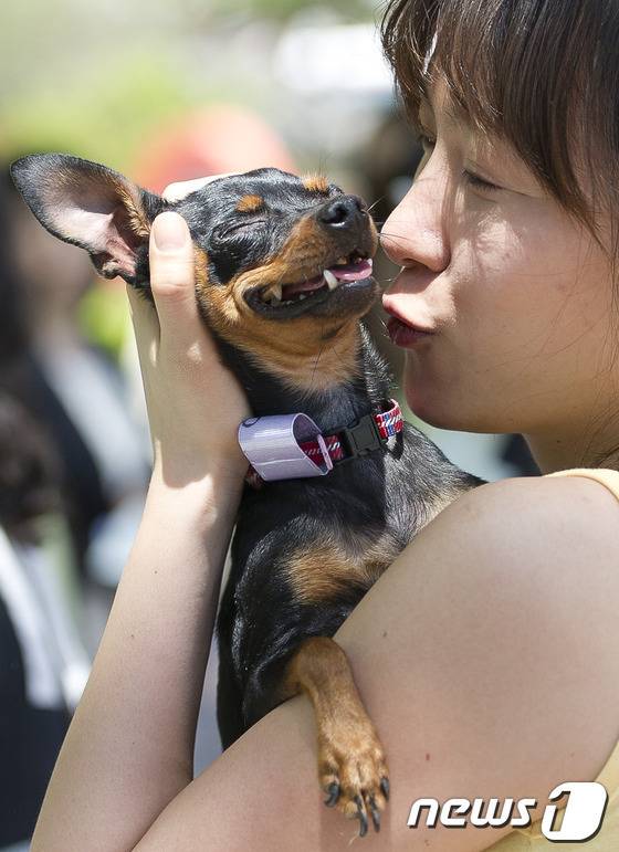 행복해진 유기견 .gif | 인스티즈
