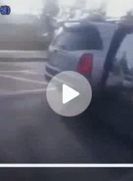 도로 한복판에 강아지 버리고 가는 주인 | 인스티즈