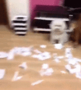 .. 입니다...gif | 인스티즈