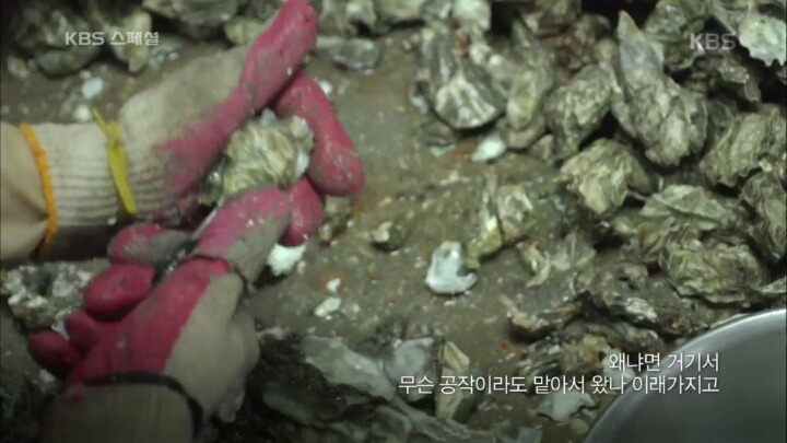 1960년대 북한에 납치됐다가 돌아온 사람들의 삶 | 인스티즈